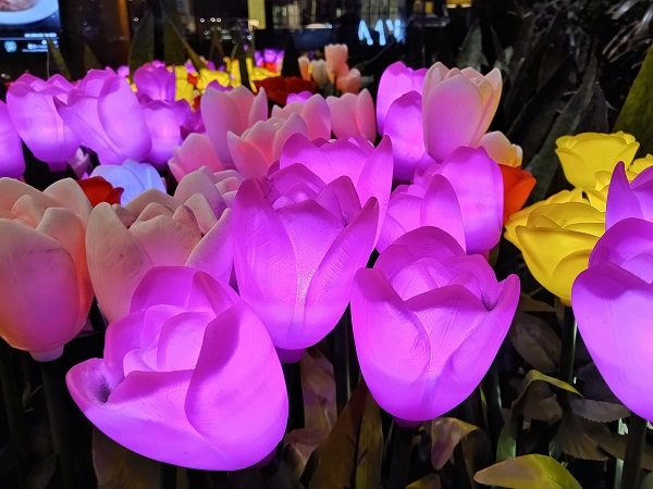 LED Flowers captured by the Realme 3 using Nightscape mode.