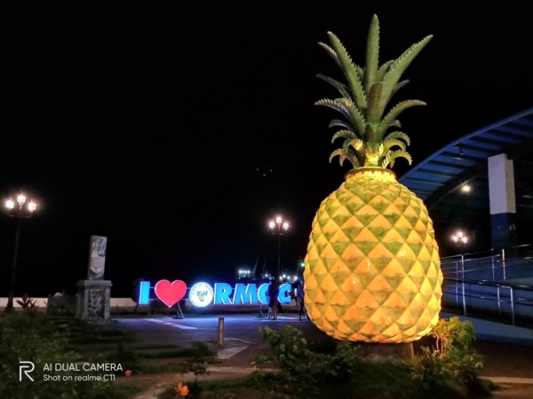 realme C11 sample picture (pineapple statue at night, Night mode).